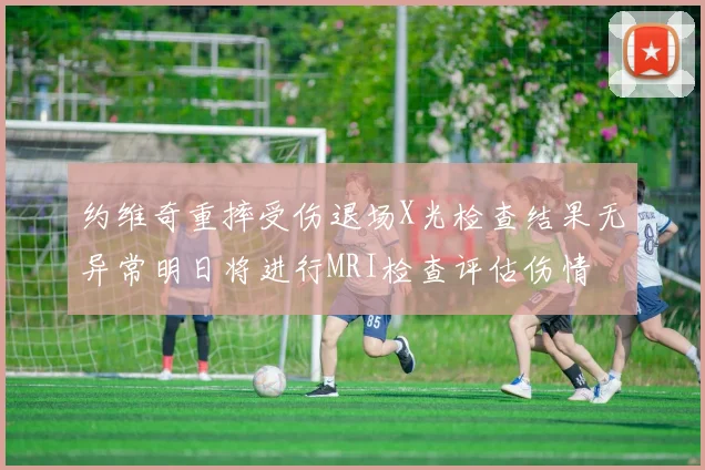 约维奇重摔受伤退场X光检查结果无异常明日将进行MRI检查评估伤情